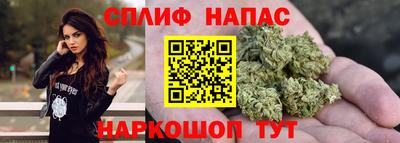 стаф Балахна