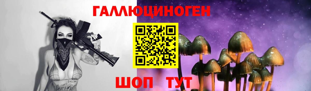 Галлюциногенные грибы MAGIC MUSHROOMS  Вход с VPN  Зерноград 